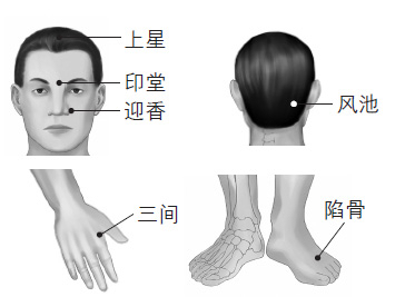 鼻塞、打鼾等鼻子問題的防治